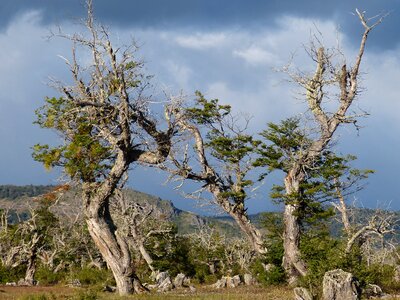 Landscape patagonia mountains photo