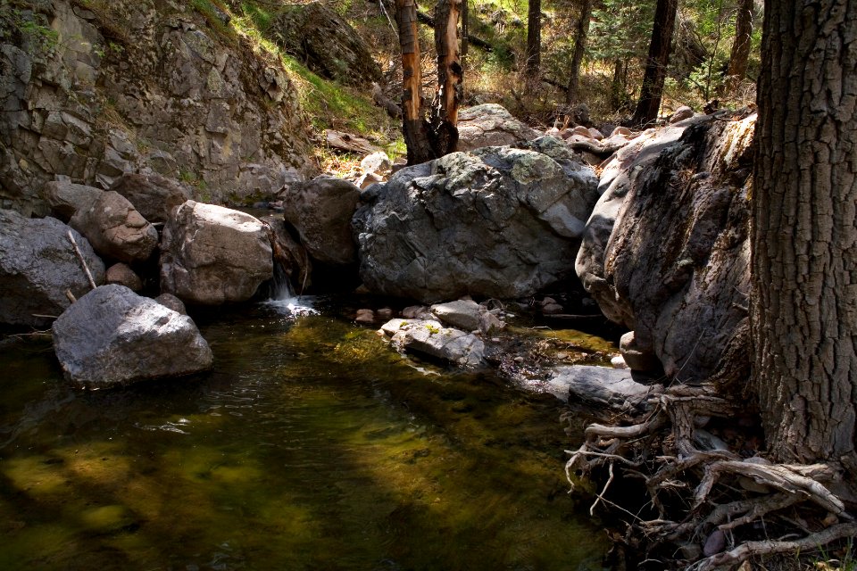 Gallinas Canyon