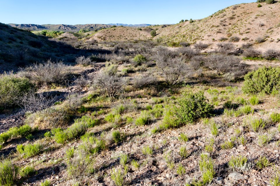 North-northeast of Caprock Mountain
