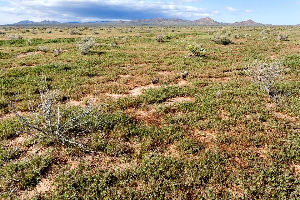 South-southeast of Apache Mountain
