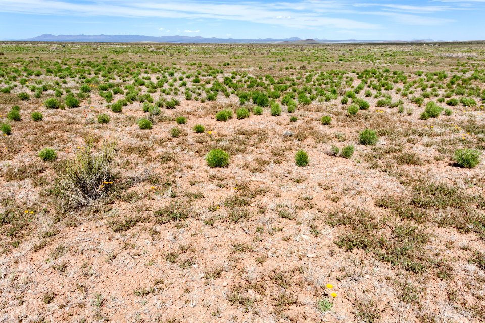 Playas Valley