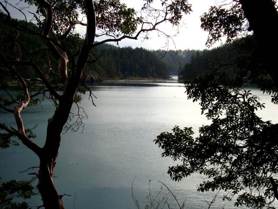 Bowman Bay