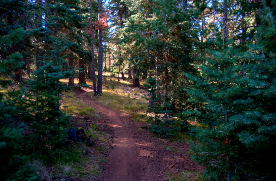 Sunset Trail No. 23