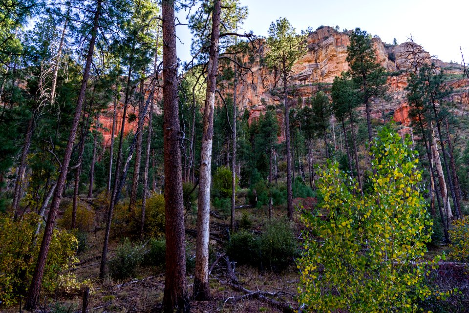 Vultee Arch Trail (November 1, 2017)