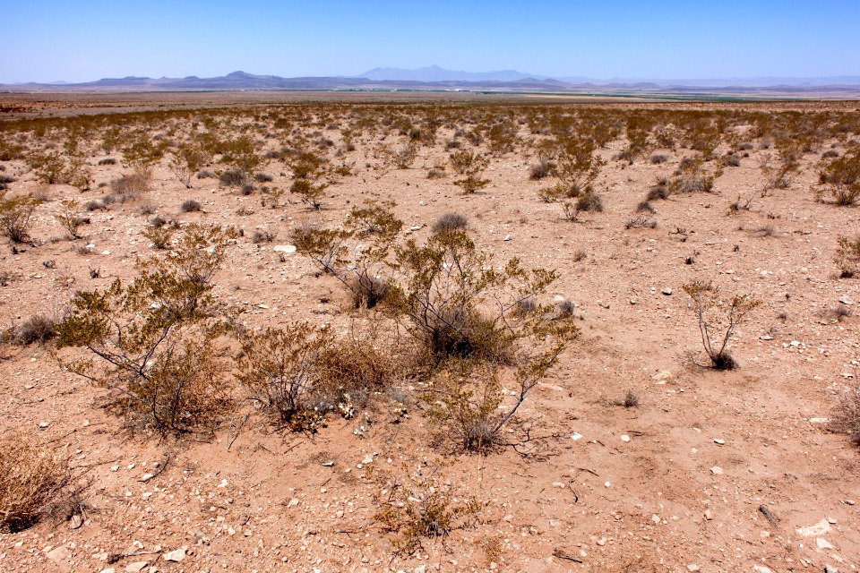 West side of the Sierra de las Uvas