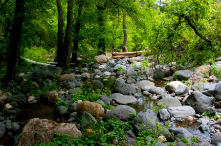 Little L.O. Trail No. 6