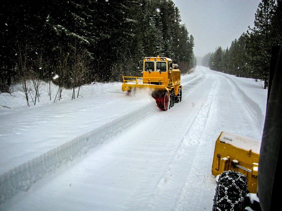 PLOWING-TWOMED-APRIL2018-0683