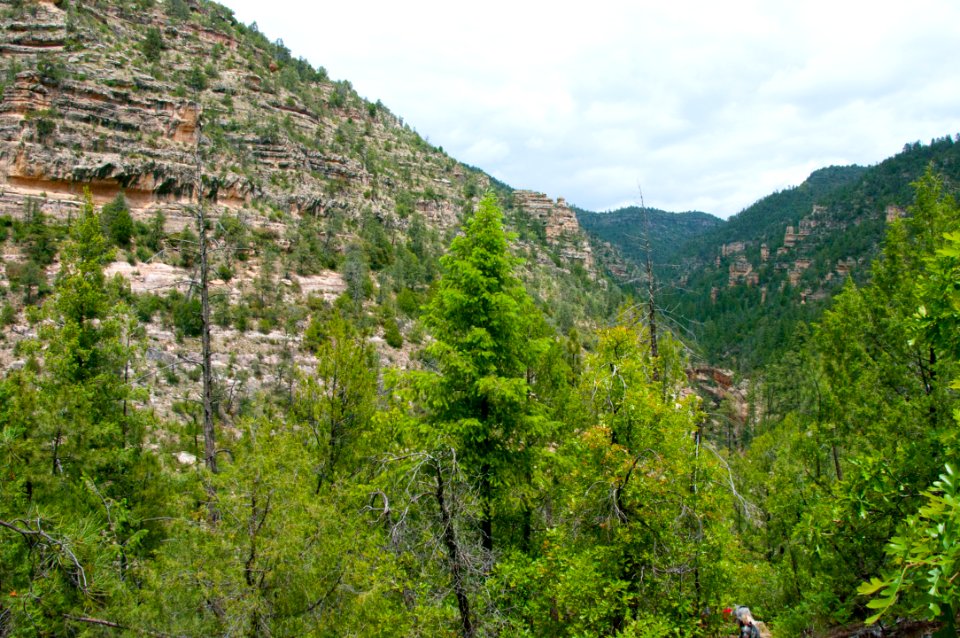 Little L.O. Trail No. 6