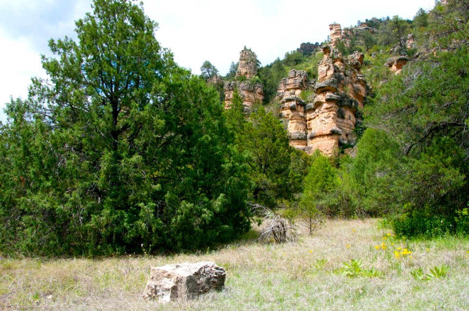 Little L.O. Trail No. 6
