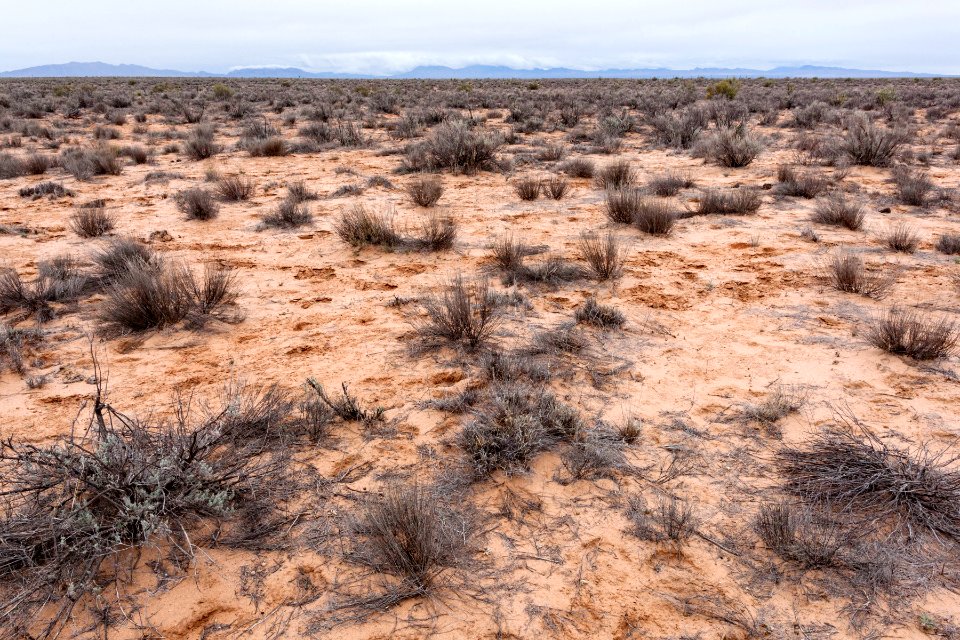 Jornada del Muerto Plain