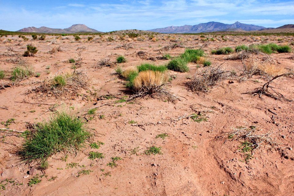 South side of Cookes Range