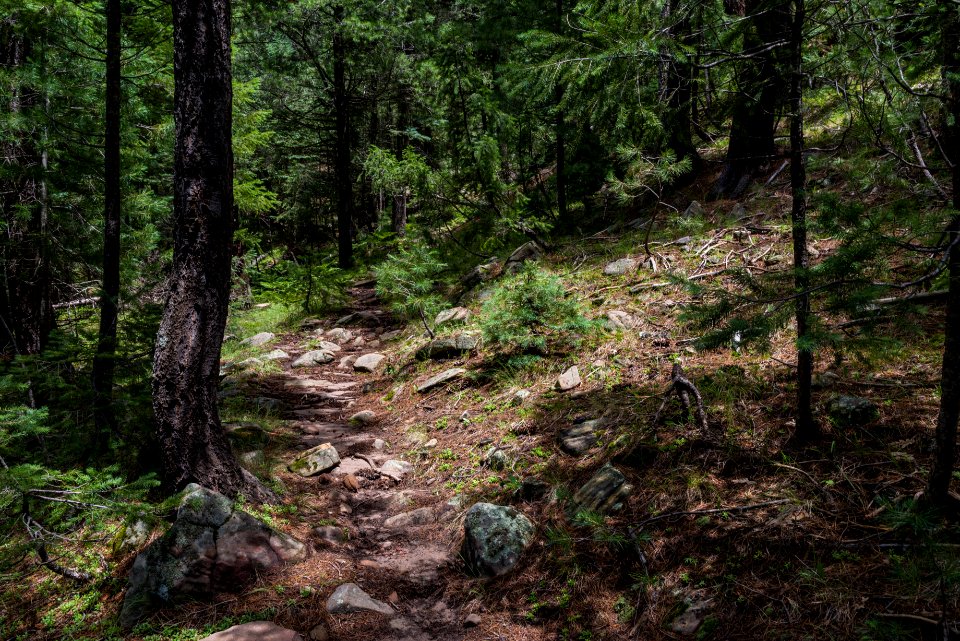 Barbershop Trail