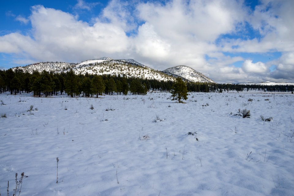 Winter in Bonito Park