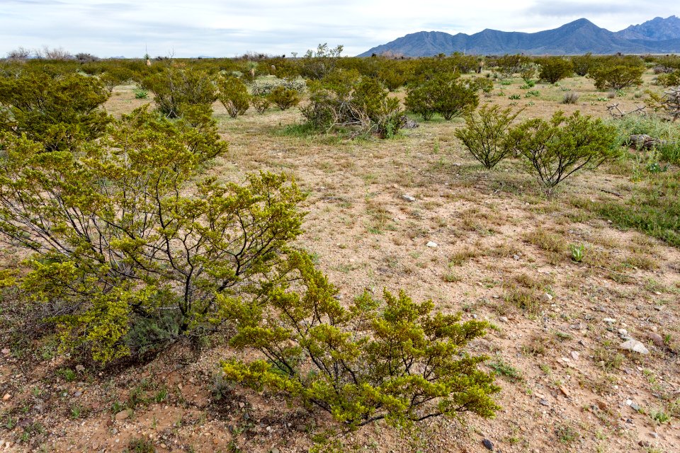 North of Onion Springs Peak