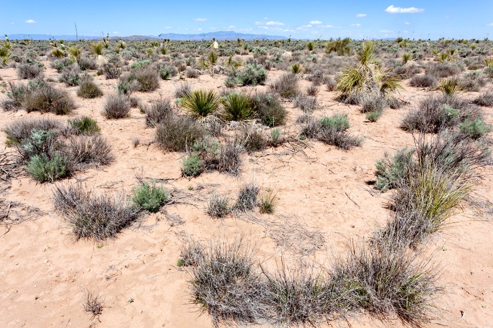 Northern Jornada del Muerto Plain