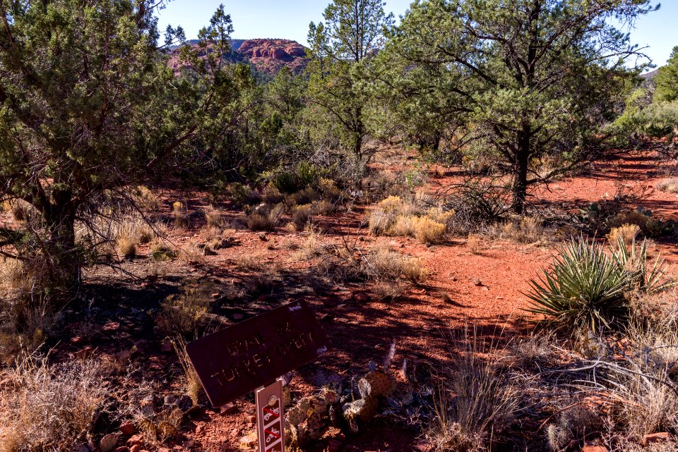 Turkey Creek Trail