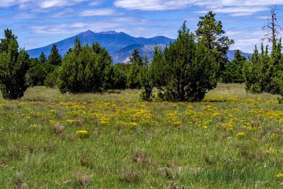 Arizona Trail: Anderson Mesa AZT-30