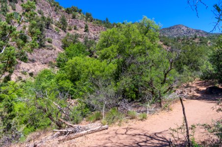 Waterfall Trail on Fossil Creek