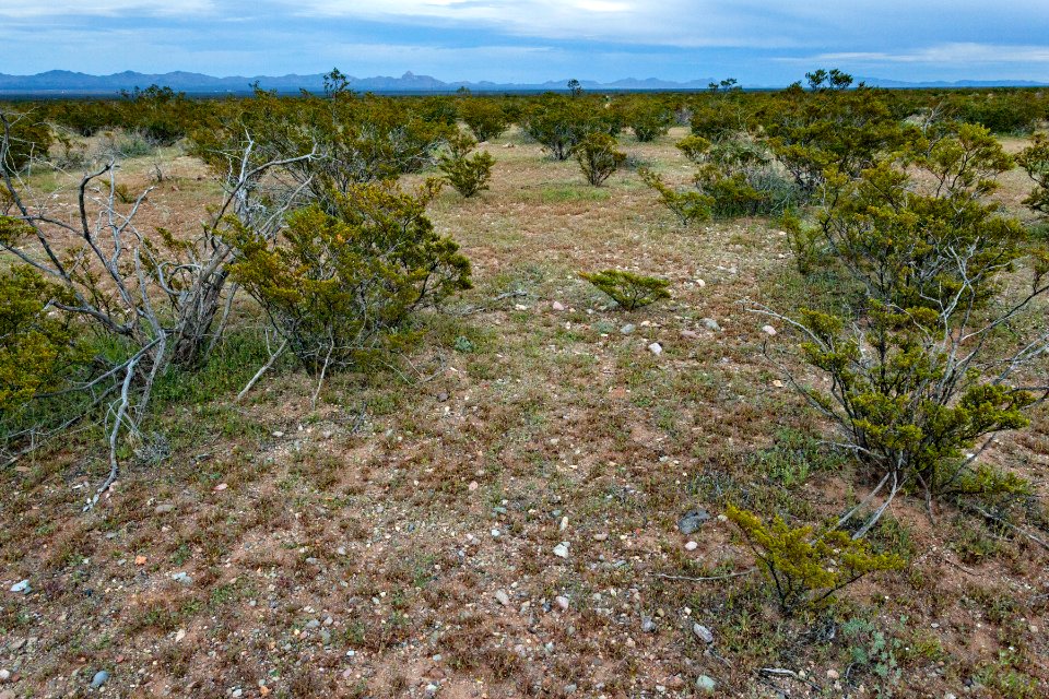 North-northeast of Onion Springs Peak