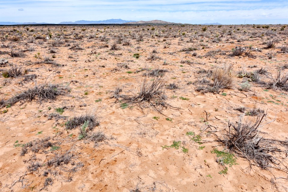 Northern Jornada del Muerto Plain
