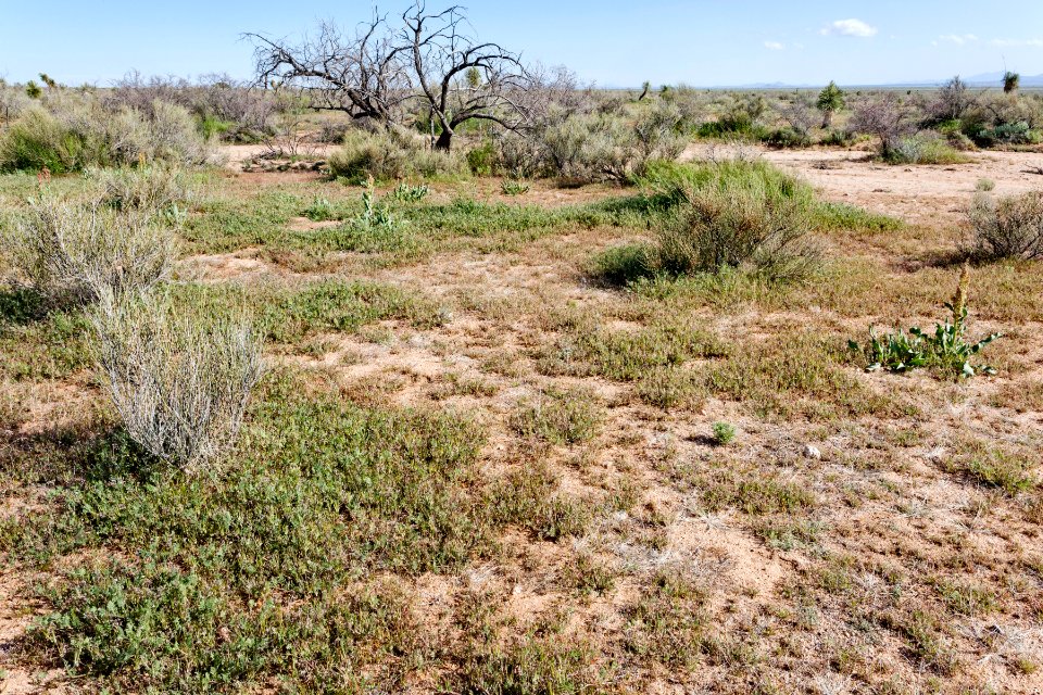 South-southeast of Apache Mountain