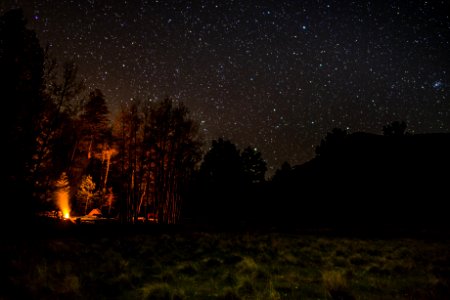 Lockett Meadow