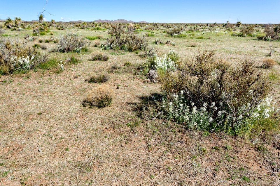 South of Apache Mountain
