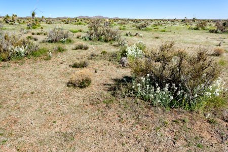 South of Apache Mountain