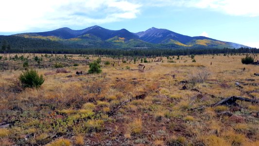 FR 418: Around the Peaks  (September 27, 2017)