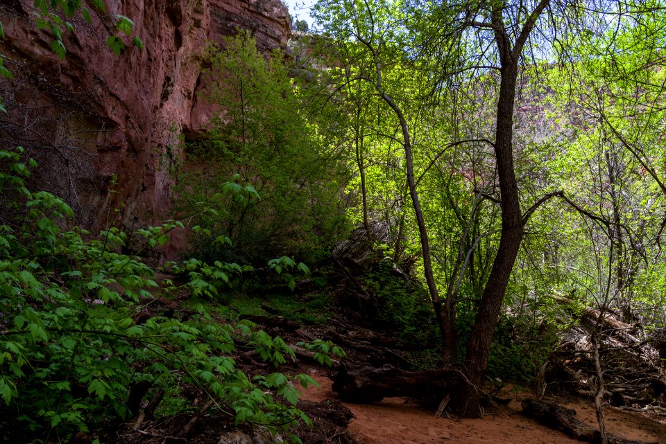 Parsons Trail No. 144