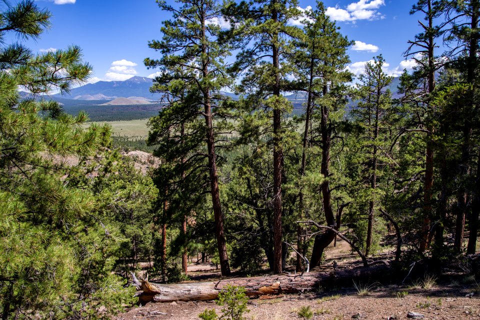 Slate Mountain Trail