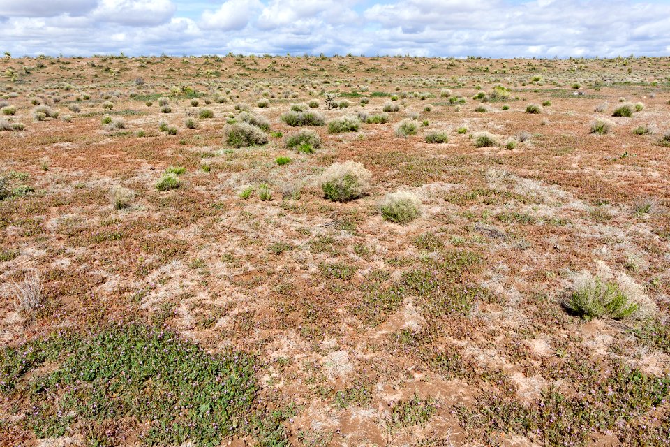 West-northwest of Apache Mountain