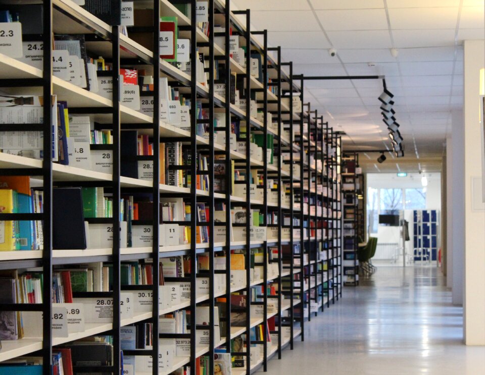 Shelves reading culture photo