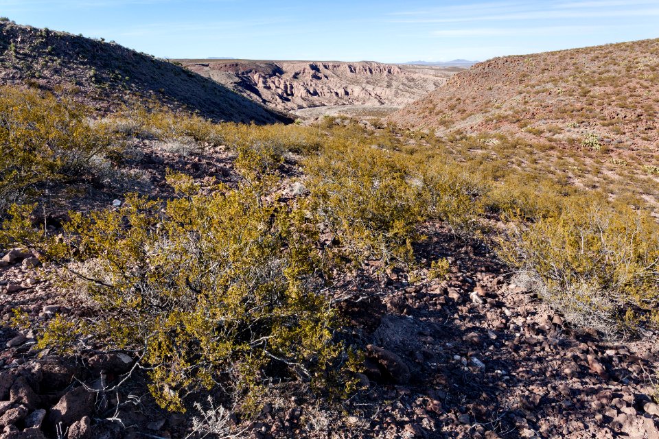 South of Broad Canyon