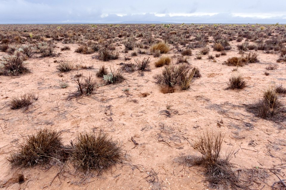 Jornada del Muerto Plain