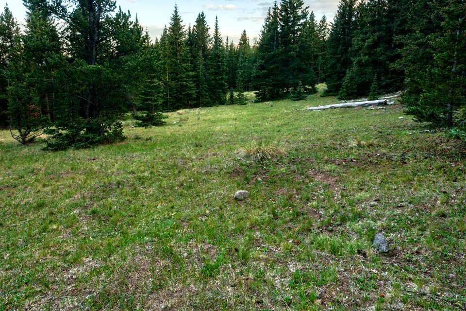 East of County Line Ridge