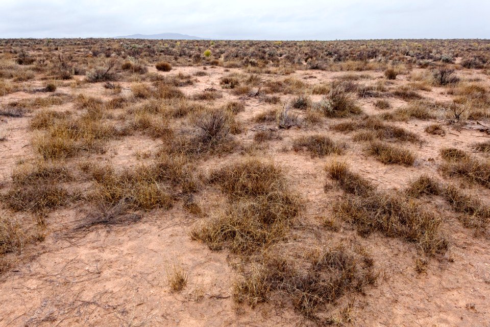 Jornada del Muerto Plain