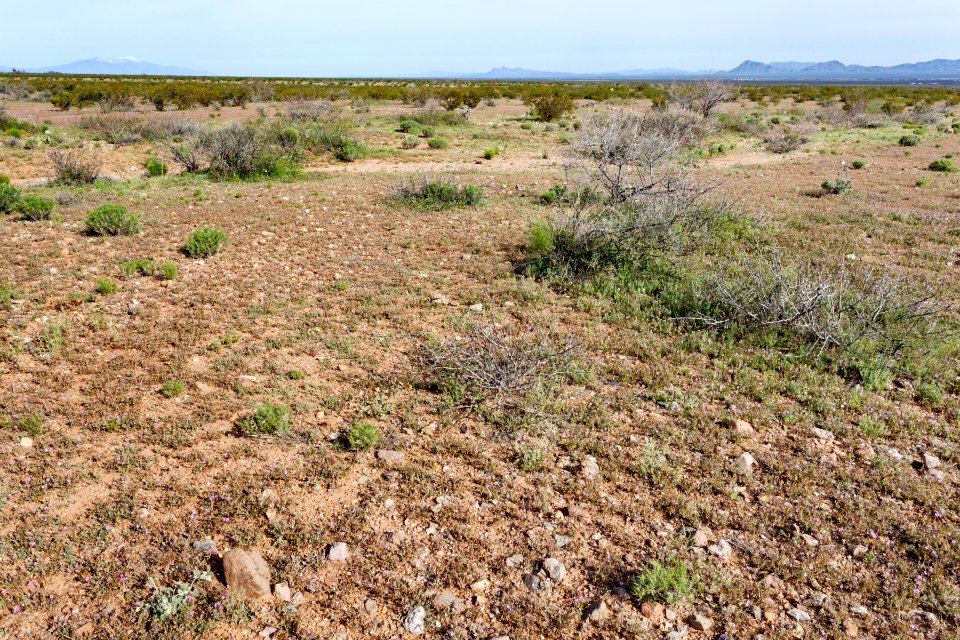 North-northeast of Onion Springs Peak