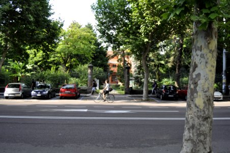  DSC0526
