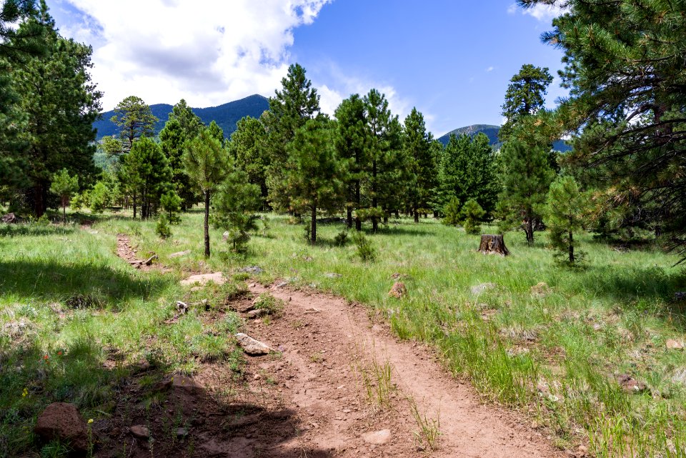 Weatherford Trail