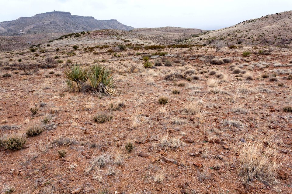 Southern Sierra de las Uvas