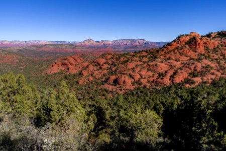 Turkey Creek Trail