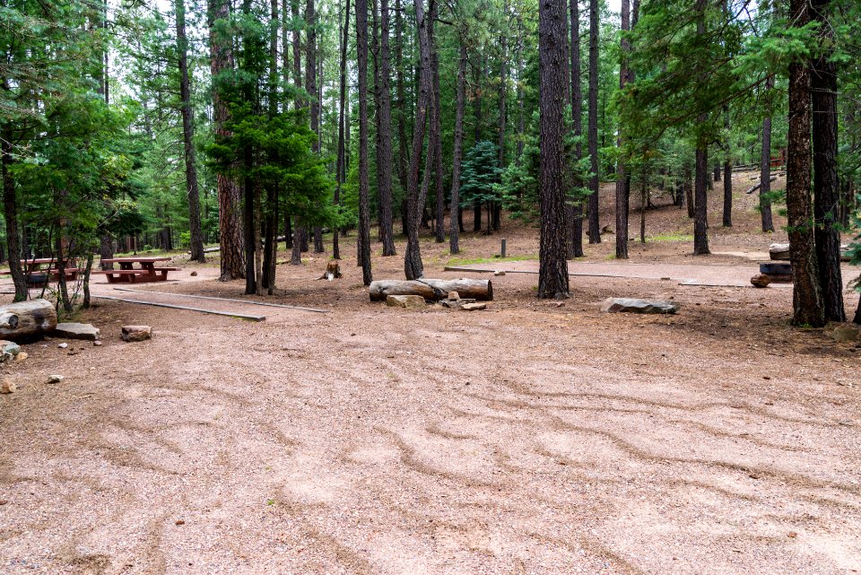 Knoll Lake Campground