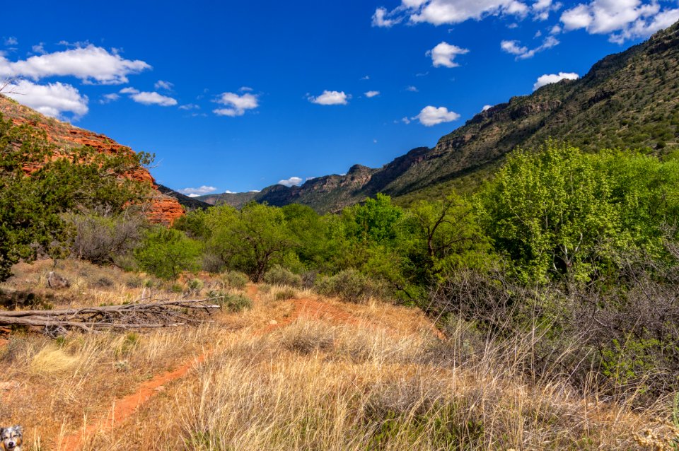 West Clear Creek Trail
