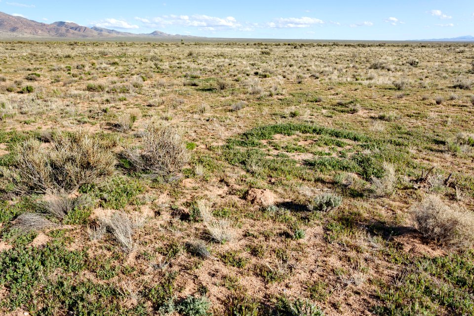 North-northeast of Lordsburg