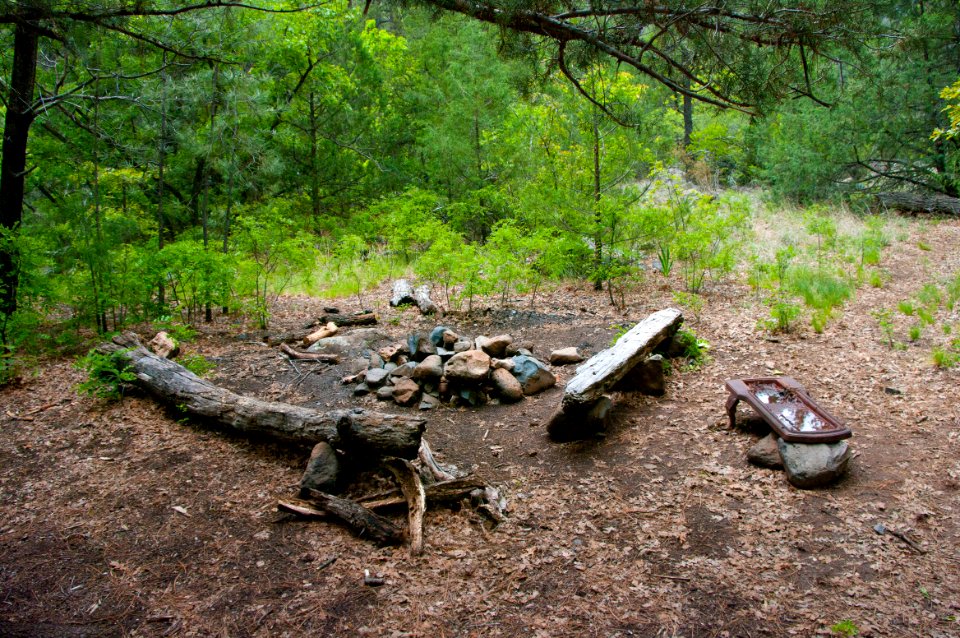 Little L.O. Trail No. 6