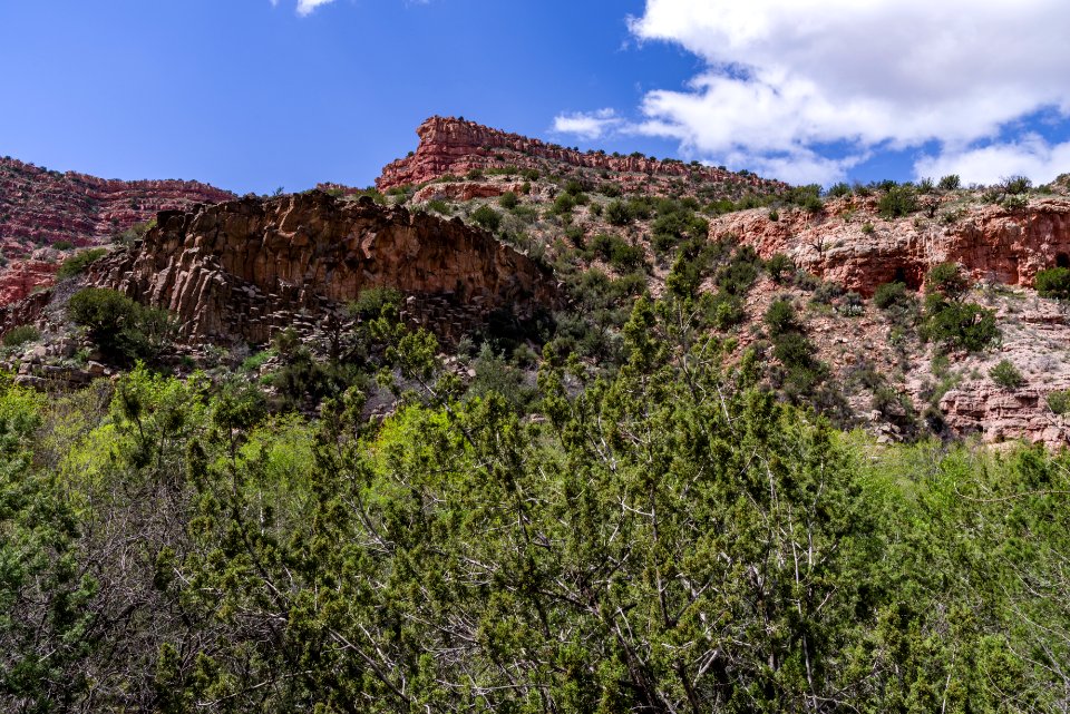 Parsons Trail No. 144