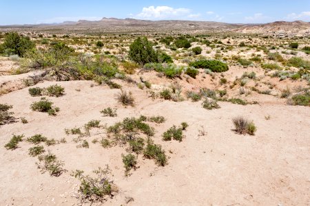 Near San Pedro Arroyo
