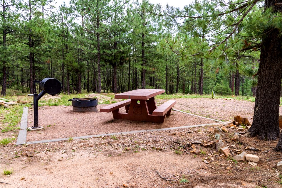 Knoll Lake Campground