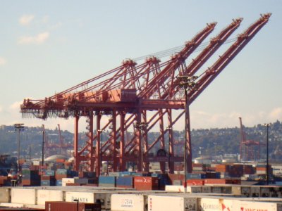 Iconic Cranes